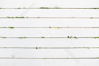 White wooden background with summer elements, void