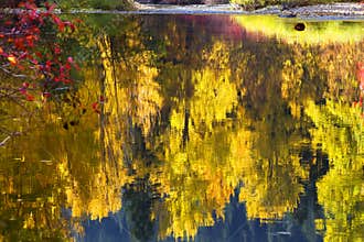 Fall Colors Wenatchee River Relections