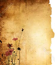 Vintage flower paper background