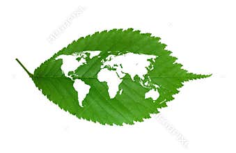 World map