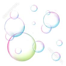 Soap bubble on white background isolated vector illustration