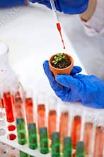 Gmo food experiment