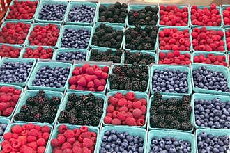 Farmers' Market Berries #2