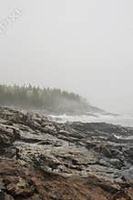 Acadia National Park foggy rocky coast