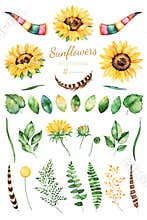 Handpainted watercolor sunflowers.31 bright watercolor clipart of sunflowers,leaves,branches,feathers,deer horns.