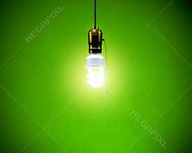 Compact Fluorescent Bulb - Hanging