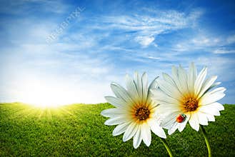Spring