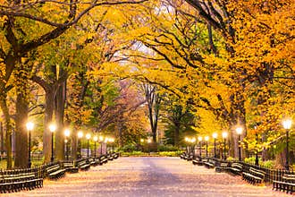 Central Park in New York City