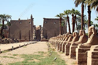 Luxor Temple