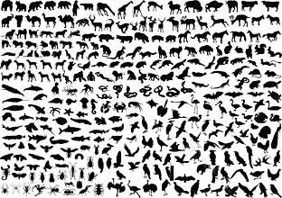 300 animal silhouettes