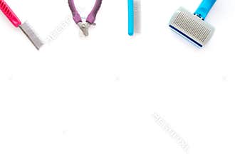 Cat and Small Dog Grooming Tools