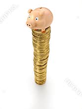 Piggy Bank Coins Stack Money