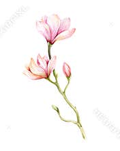 Watercolor Painting Magnolia blossom flower wallpaper decoration
