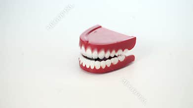 Chattering Joke Toy Teeth Isolated on White