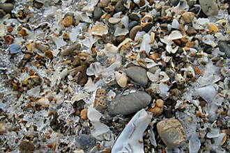 Wintery Lake Erie Shore