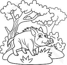 Wild boar walking in the woods