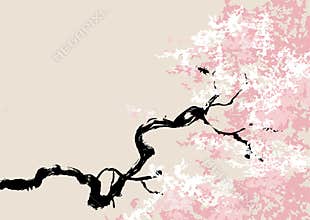 Vector illustration of cherry blossom