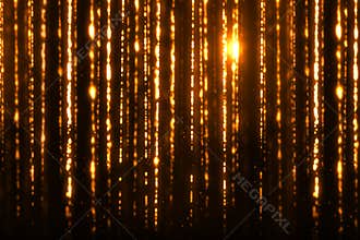 Christmas digital glitter sparks golden particles strips flowing on black background, holiday xmas event