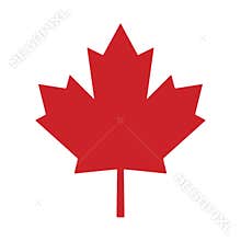 Maple leaf canada vector symbol icon design