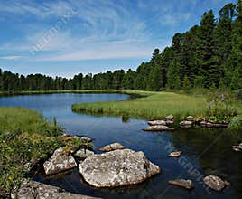 Forest river