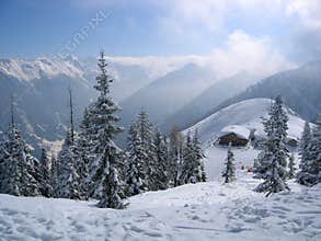 Austria / Winter Dream