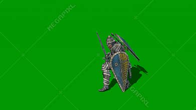 Medieval knight fighting with swords and shield isolated on green screen