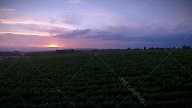 Drone flying over Temecula Wine Country