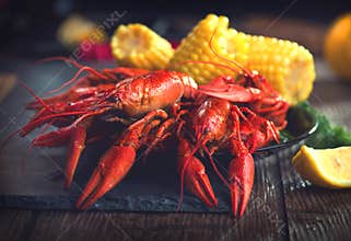 Crayfish. Creole style crawfish with corn and potato