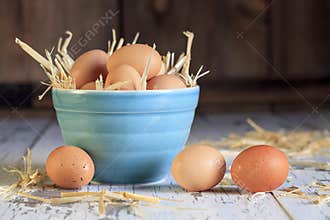 Brown Eggs Blue Bowl 2