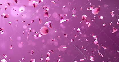 Flying Romantic Red Pink Rose Sakura Flower Petals Falling Background Loop 4k