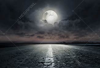 Road in the night