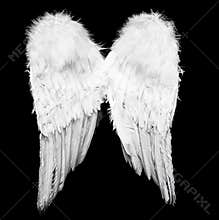 Angel wings