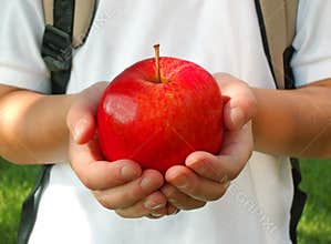 Apple for the teacher