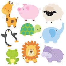 Cute Baby Animal