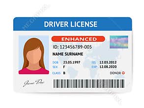 Flat woman driver license plastic card template, id card vector illustration
