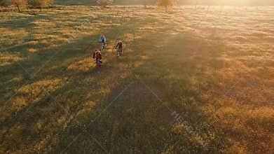 Young people cycling on bicycles through green and yellow summer meadow field