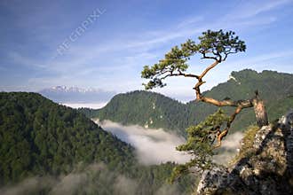 Sokolica Peak in Pieniny, Poland