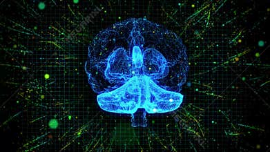 3d animation graphic design of human brain and brain stem showing and spinning with knowledge or mri scanning in creativity model