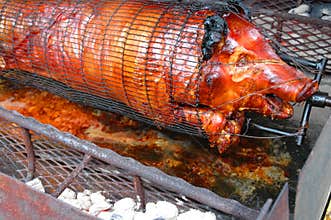 Whole Pig Being Roasted