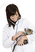 Caucasian woman Veterinarian examining a kitten