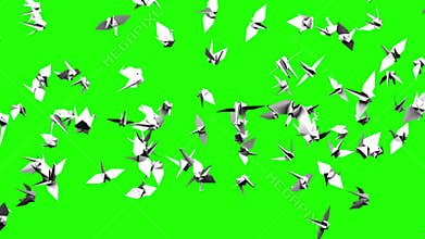 Origami Crane On Green Chroma Key