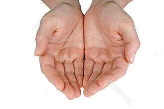 Hands (with clipping path)
