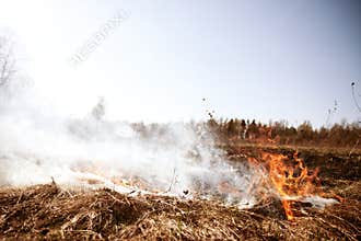 Wildfire. Fire. Global warming, environmental catastrophe. Concept man helpless before natural disaster. Protection
