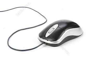 Computer Mouse