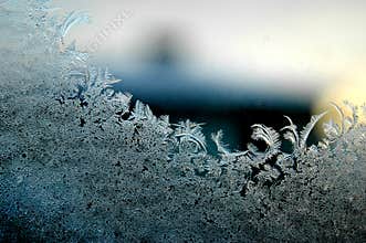 Frost flowers