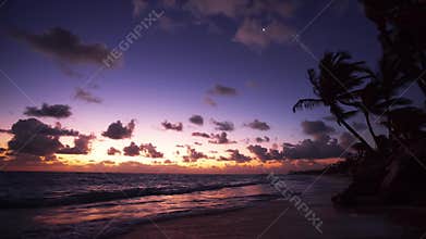Palm trees on the tropical beach at sunrise, video