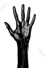 Black hand on white background, isolated, paint
