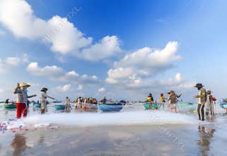 Early market average living marine Binh Thuan