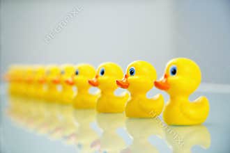 Ducks in a row