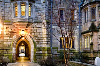 Yale university